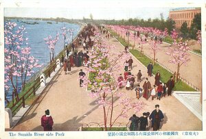 3776【絵葉書】◆東京 我国最初の河岸公園たる隅田公園の展望