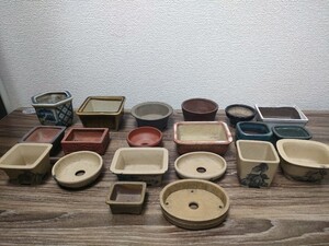 ミニ 盆栽鉢 豆鉢　盆栽　２０点まとめ