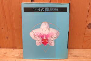 即決・100の蘭・福原 義春・100ORCHIDS・文化出版局・1991年発行・ラン・検写真