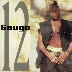 【輸入盤】12 Gauge/12Gauge