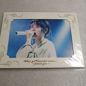 ZARD　新品・未開封　ポストカード　what abeautiful memory forever　ファンクラブ限定 坂井泉水 負けないで 揺れる想い ベスト 送料230円