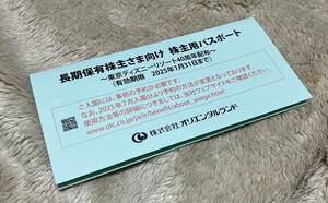 ☆☆☆東京ディズニーランド&シー共通株主優待 4枚 2025年1月31日期限（送料無料）☆☆☆