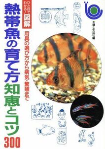 熱帯魚の育て方知恵とコツ300 用具の選び方から病気・繁殖まで ひと目でわかる！図解/ペット