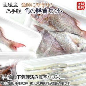 お手軽鮮魚セット 8人前 刺身/煮魚/焼魚用に下処理済み 旬鮮魚 浜から直送 宇和海の幸問屋 愛媛百貨店