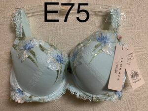 FLORALE フロラーレ　バイ　トリンプ ブラジャー　E75