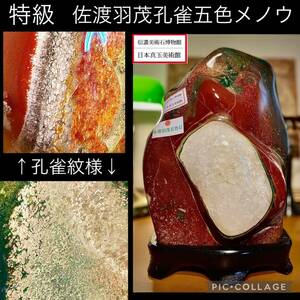 【信濃美術石博物館】 水石 盆栽 佐渡羽茂孔雀五色メノウ 横23×高33×奥行22cm 22kg 佐渡赤玉石 赤石 佐渡錦紅石 骨董盆石鑑賞石太湖4467