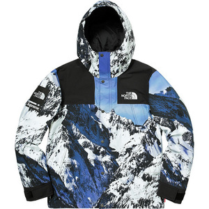 即決 M 送料無料 国内正規品 17AW Supreme The North Face Mountain Parka