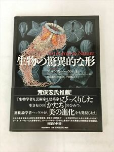 生物の驚異的な形 エルンスト・ヘッケル著 河出書房新社 2410BKR164