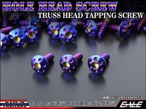 M5×16mm ホールヘッドネジ タッピングネジ ステンレス 削り出し トラス頭 カウルやパネルなどに 焼チタンカラー TC0073