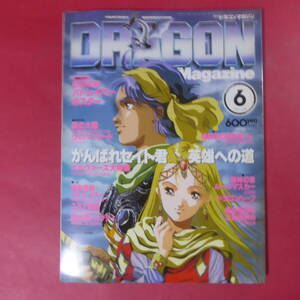 YN4-250117☆DRAGON MAGAZINE 月刊ドラゴンマガジン 1990年6月 ひかわ玲子 美樹本晴彦 山本弘 草彅琢仁 伊藤和典 高田明美 吉岡平 未弥純