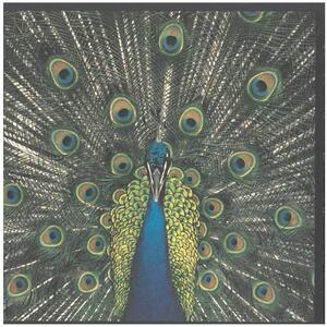 ブルートーンズ(THE bluetones) / Expecting to Fly（歌詞カードなし）　CD