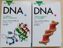 『DNA』上・下 2巻セット