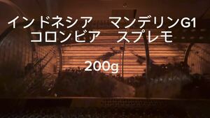コロンビア　スプレモ　マンデリンG1 各種100g 自家焙煎珈琲豆