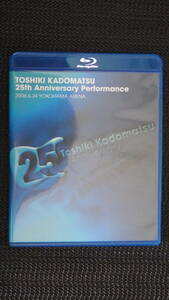 送料無料 角松敏生/横浜アリーナTOSHIKI KADOMATSU 25th Anniversary Performance 2006.6.24 YOKOHAMA ARENA [Blu-ray]2枚組/再生確認済