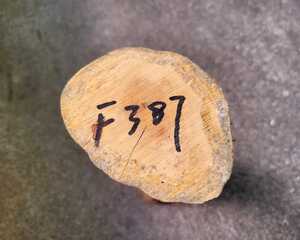 つげ ツゲ 柘植 中国産小葉黄楊 版画や、彫刻、根付けなどに最適 原木 F387