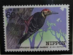 ♪未:記0968:特殊鳥類ser. 第5集 オーストンオオアカゲラ 発行日(1984年6月22日)が誕生日の方へのプレゼントにどうぞ!*60