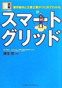 スマートグリッド 業界動向と主要企業がひと目でわかる 図解ビジネス情報源/諸住哲【監修】,ビジネス書籍編集