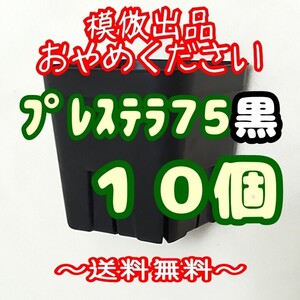 ◆送料無料◆《プレステラ75》黒 10個 プラ鉢 スリット鉢 多肉植物 植木鉢 2.5号鉢 相当