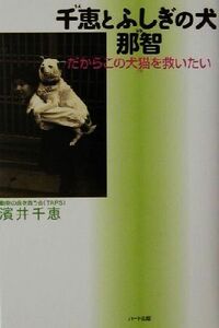 千恵とふしぎの犬 那智 だからこの犬猫を救いたい/浜井千恵(著者)