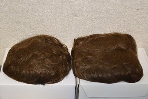 リバイバル　ヘアピース 2個入り　色　混色　ウィッグ　カツラ　髪　女性　スペア用(菅1169YO)