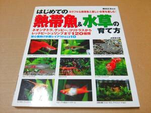 中古 [書籍] はじめての熱帯魚&水草の育て方 / 勝田正志 [JAN：9784415042169]