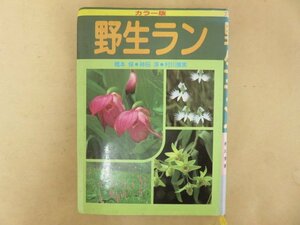 カラー版 野生ラン　橋本保・神田淳・村上博実　平成3年初版　家の光協会