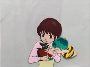 うる星やつらセル画テンちゃんA18.動画付き