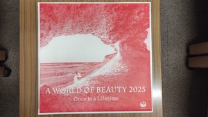 【送料込】JAL World of Beauty カレンダー 2025　壁掛け