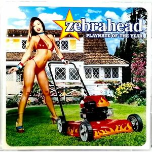 ZEBRAHEAD / Playmate Of The Year (CD)