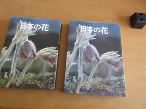 日本の花　　佐竹義輔　　　　山と渓谷社　　昭和51年7月　　函付　大型本