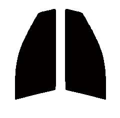 ハーフスモーク　７６％　運転席、助手席　アレックス　NZE121・NZE124・ZZE123　カット済みフィルム