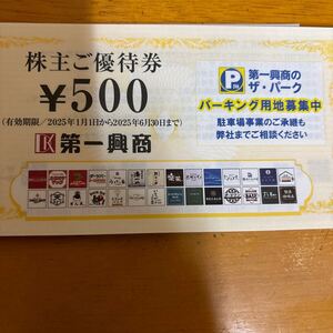 第一興商 カラオケビッグエコー使用券5000円