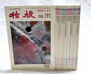 【即決】「小原流研究誌 桔梗 1995年2月号 no.191～1999年2月号 no.215＋200号刊行記念 特別増刊号」合計26冊セット 途中抜け無し