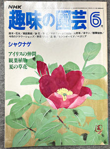 NHK 趣味の園芸 昭和56年 6月 シャクナゲ アイリスの仲間 ガーデニング 盆栽 花壇 菜園