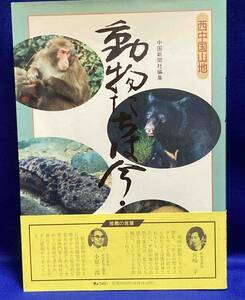 動物たちは今… 西中国山地◆中国新聞社、ぎょうせい、1989年/N631