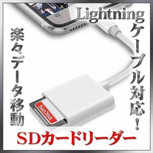 iPhone iPad SDカードリーダー データ 転送 ライトニング