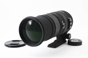 ★美品★ SIGMA シグマ AF APO 150-500mm f/5-6.3 DG OS HSM Nikon ニコン (4245)