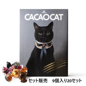 NO2　 セット販売　チョコレート　バレンタイン　9個入りが20セット　猫　黒猫　かわいい　黒猫モチーフ　ギフト　ホワイトデー