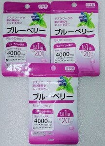 ブルーベリー【合計60日分3袋】1日1錠 デスクワークや車の運転をよくする方に 栄養機能食品 日本製 サプリメント