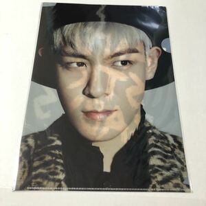 ◇レア！◇ BIGBANG FANTASTIC BABYS ファンミーティング 公式グッズ クリアファイル TOP タプ