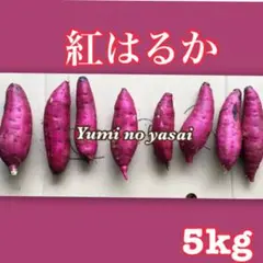 鹿児島県産さつまいも【紅はるか5kg】