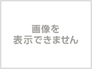 【送料無料】アーモンドガタップリ、絶妙な食感　１本