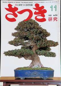 さつき　研究　1993　11　NO.284　⑩　YB230505K1