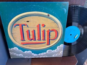 【LP】チューリップ/TULIP LAND 2LP