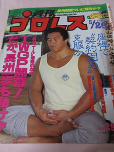 「週刊プロレス　NO.204　1987．5／26」　長州「契約固め」　天龍対谷津　ベースボールマガジン社 