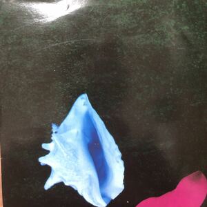 【名曲】 NEW ORDER / Touched By The Hand Of God 7inch EP UKオリジナル盤 joy division 入手難 希少