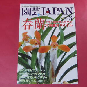 YN4-241219☆園芸JAPAN 2017年3月号　春蘭 セツブンソウ タンポポ ノボケ ※ 自然と野生ラン