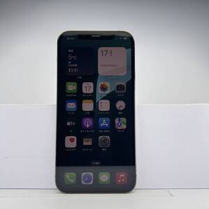 iPhone 12 Pro 256GB グラファイト SIMフリー 訳あり品 ジャンク 中古本体 スマホ スマートフォン 白ロム [出品ID：30205]