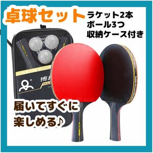 卓球 ラケット 2本 セット ボール 収納袋 セット 練習 初心者 中級者 卓球セット table tennis テーブルテニス