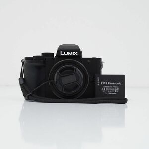 LUMIX G100 標準ズームレンズキット ミラーレスカメラ USED品 マイクロフォーサーズ Vlog ファームウェアアップデート済 完動品 CP7401